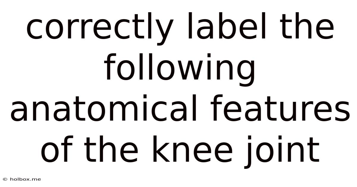Correctly Label The Following Anatomical Features Of The Knee Joint