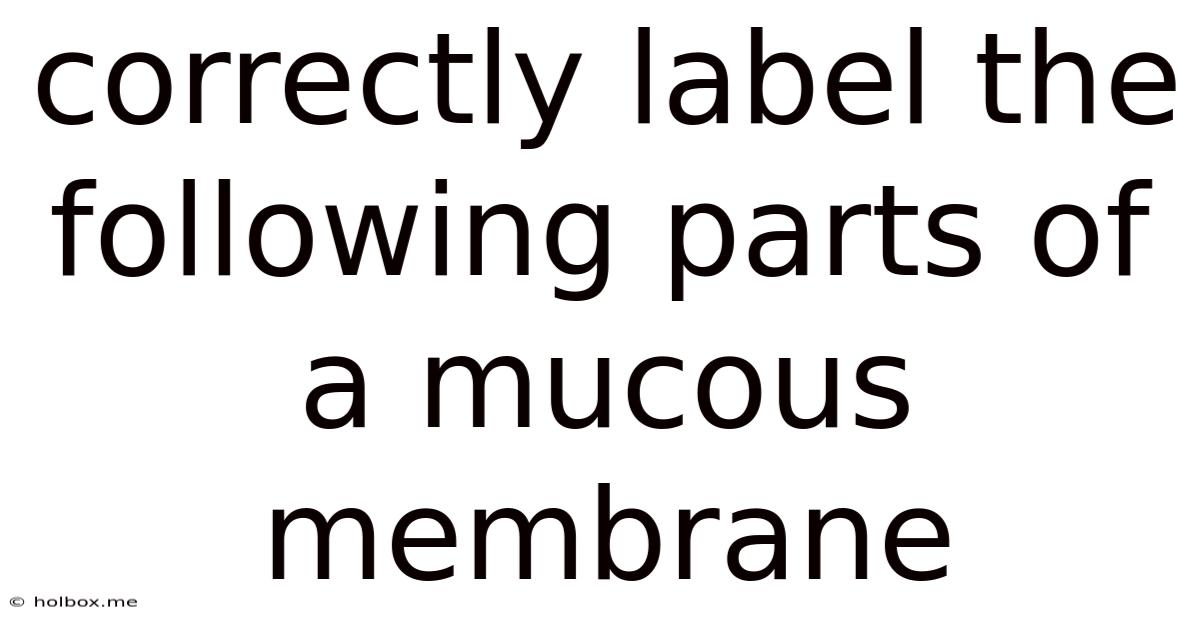 Correctly Label The Following Parts Of A Mucous Membrane