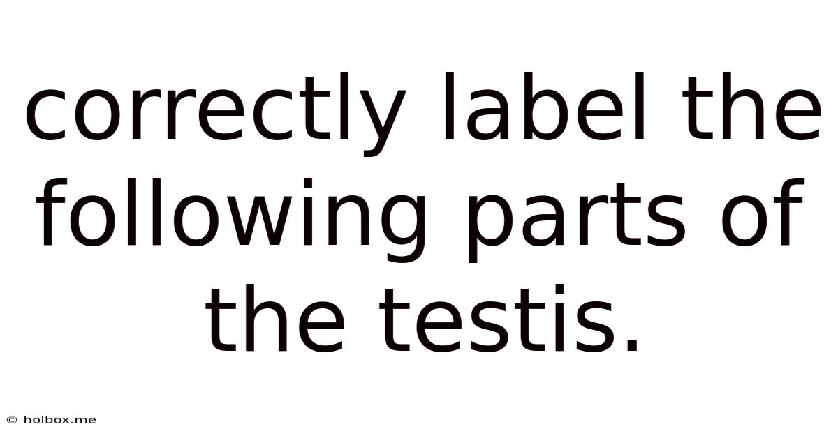 Correctly Label The Following Parts Of The Testis.