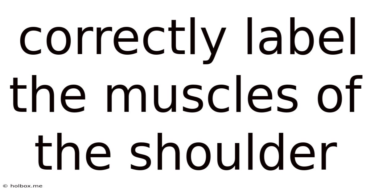 Correctly Label The Muscles Of The Shoulder