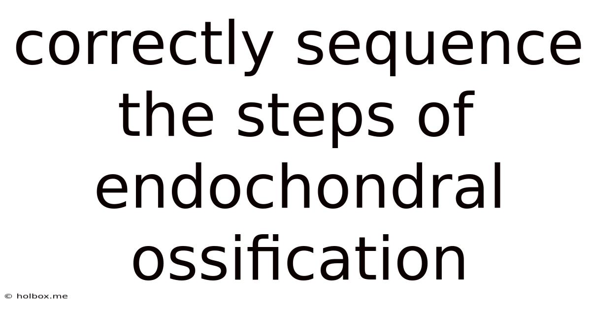 Correctly Sequence The Steps Of Endochondral Ossification