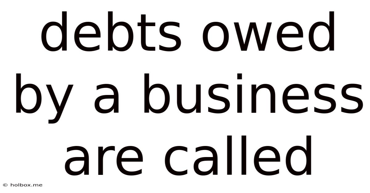 Debts Owed By A Business Are Called