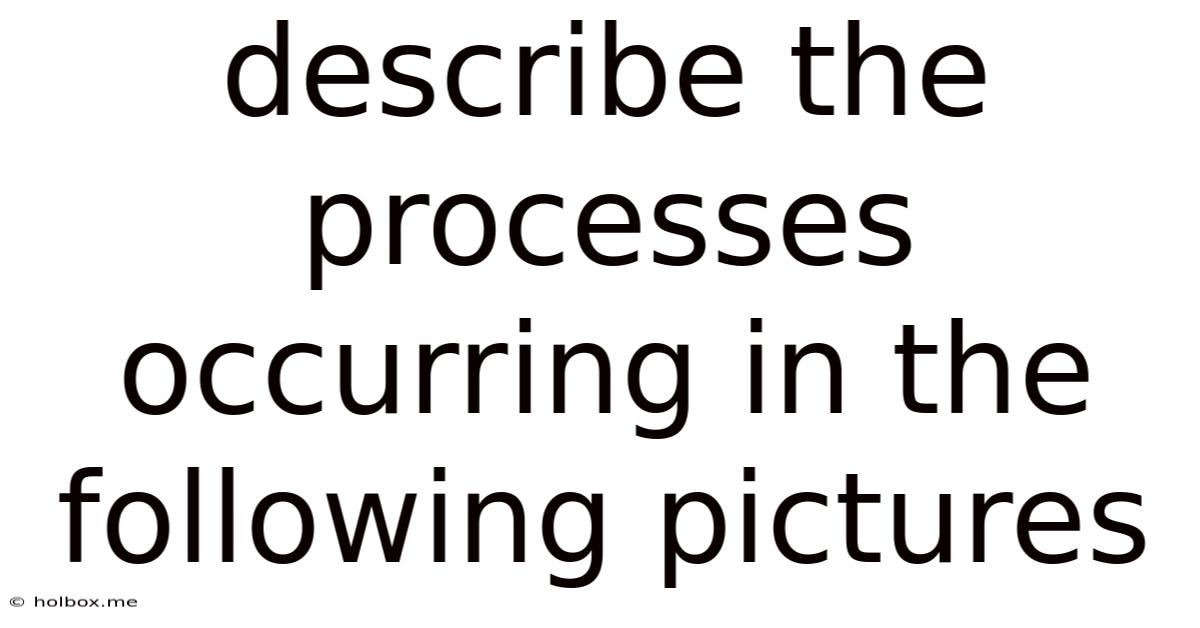 Describe The Processes Occurring In The Following Pictures