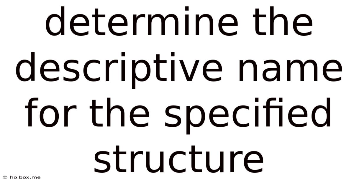 Determine The Descriptive Name For The Specified Structure