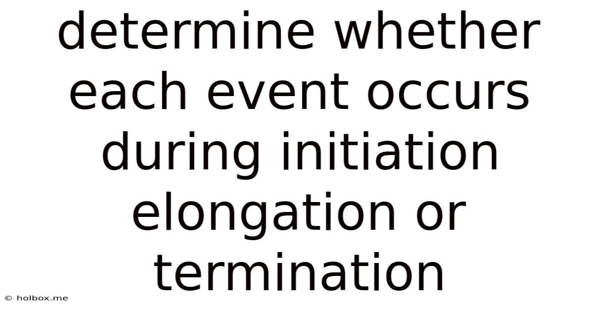 Determine Whether Each Event Occurs During Initiation Elongation Or Termination