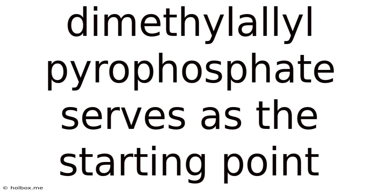 Dimethylallyl Pyrophosphate Serves As The Starting Point