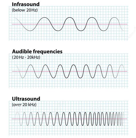 Distinguish Between Infrasonic And Ultrasonic Sound Waves