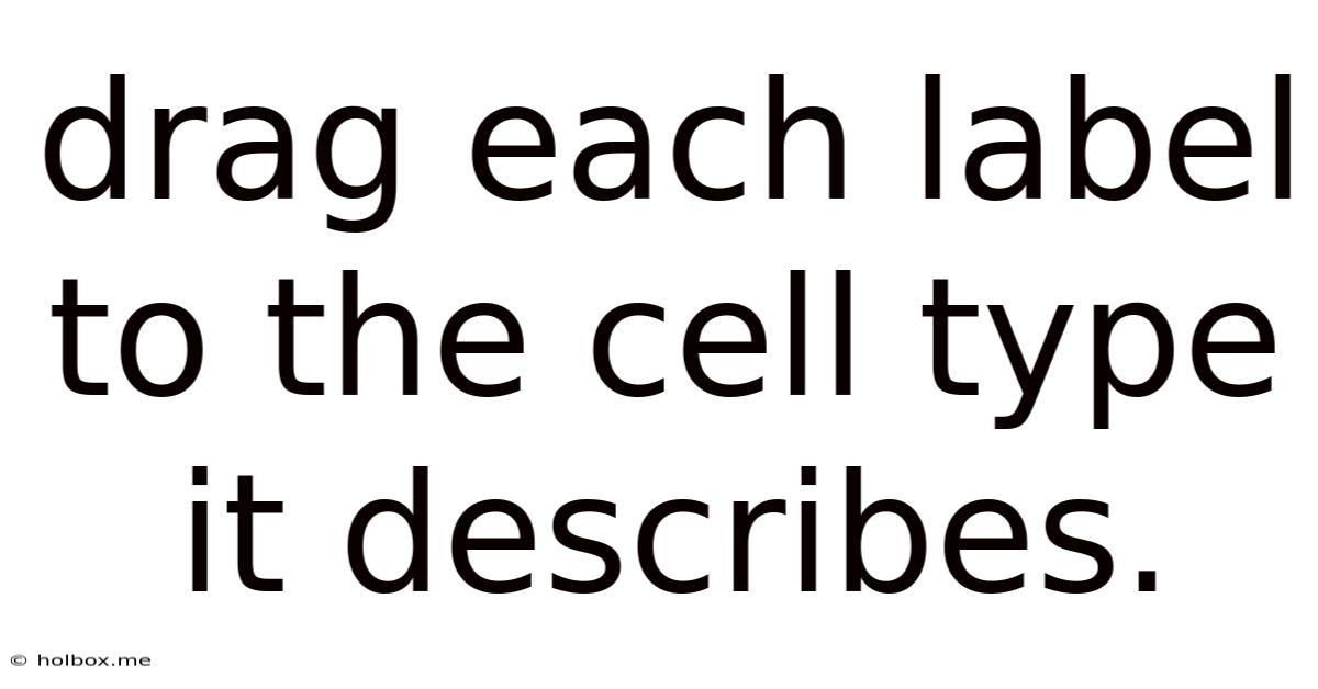 Drag Each Label To The Cell Type It Describes.