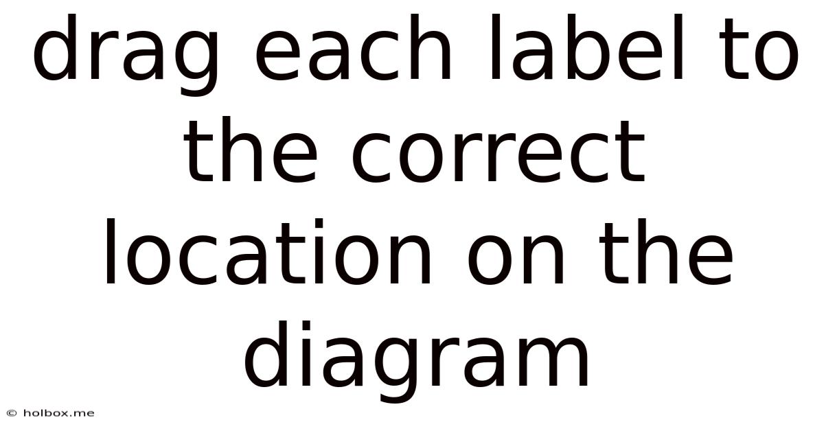 Drag Each Label To The Correct Location On The Diagram