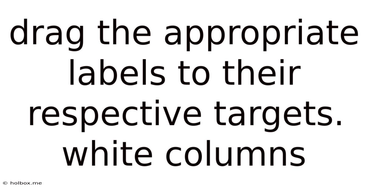 Drag The Appropriate Labels To Their Respective Targets. White Columns
