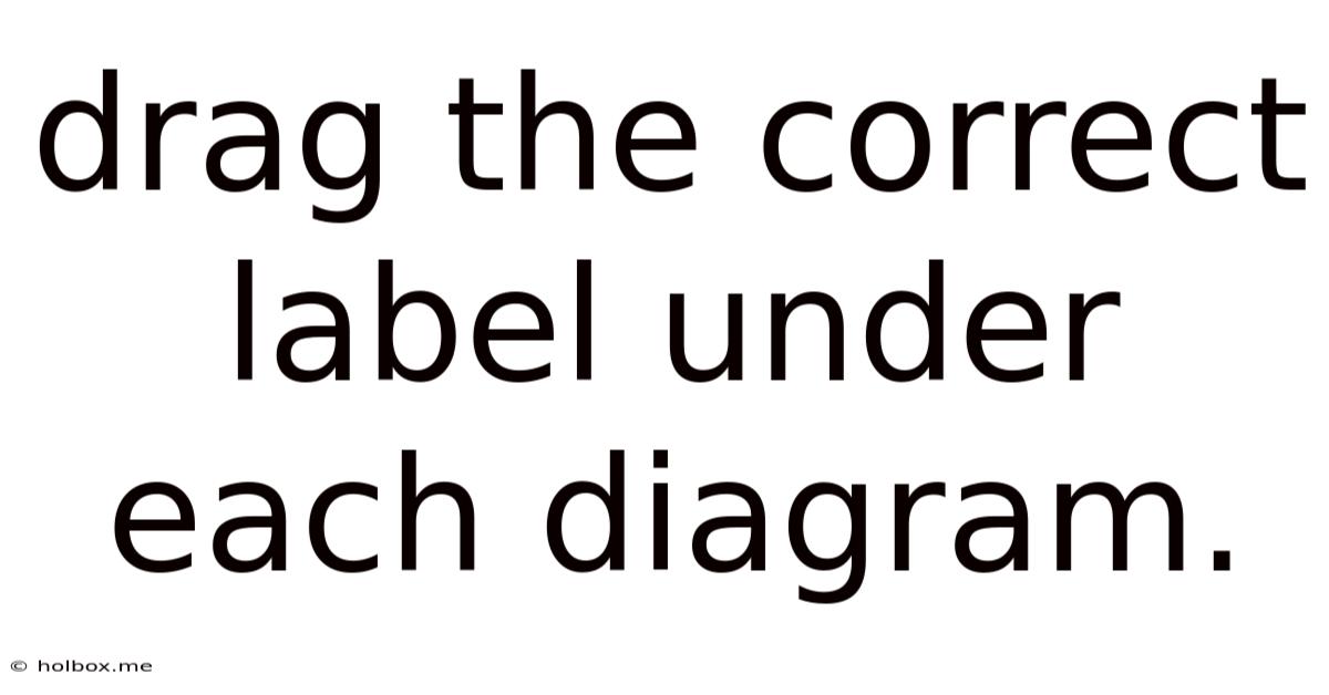 Drag The Correct Label Under Each Diagram.