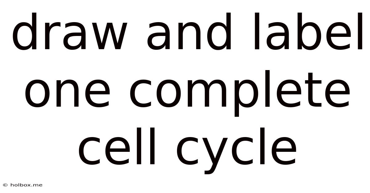 Draw And Label One Complete Cell Cycle