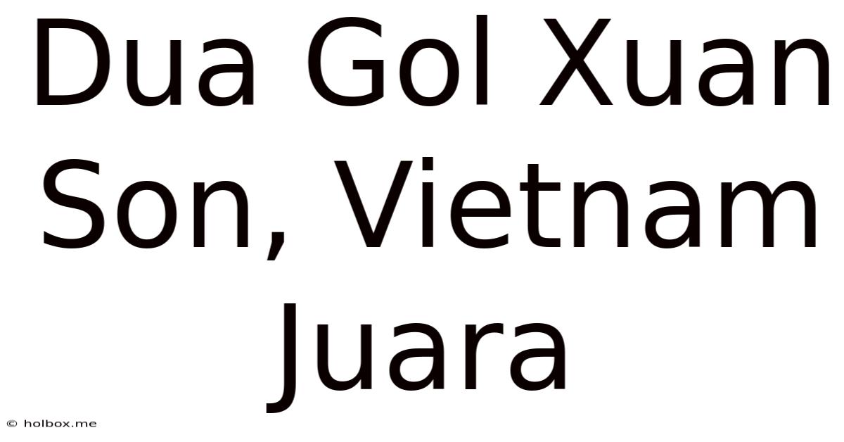 Dua Gol Xuan Son, Vietnam Juara