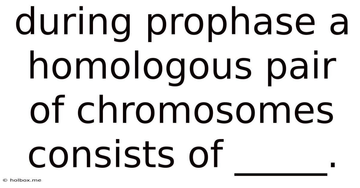 During Prophase A Homologous Pair Of Chromosomes Consists Of _____.