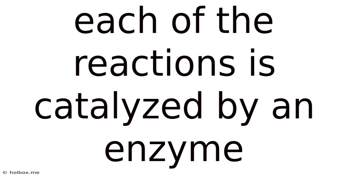 Each Of The Reactions Is Catalyzed By An Enzyme