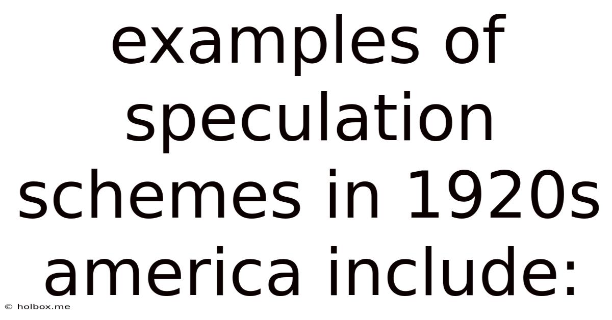 Examples Of Speculation Schemes In 1920s America Include: