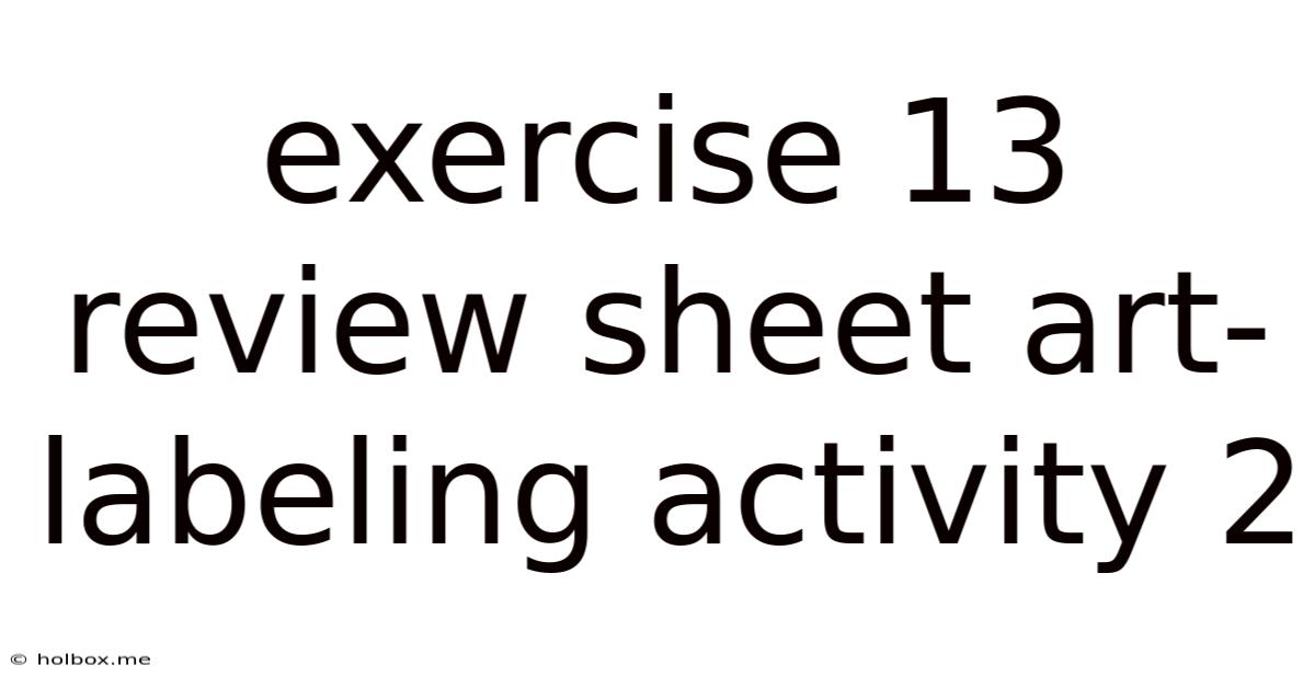 Exercise 13 Review Sheet Art-labeling Activity 2