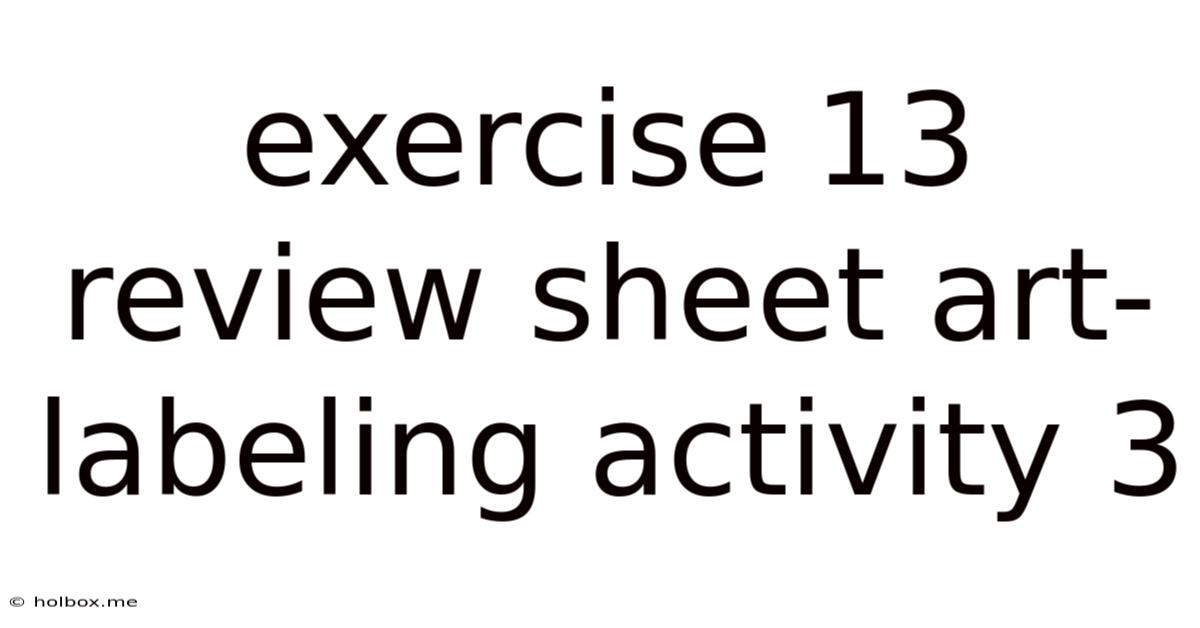 Exercise 13 Review Sheet Art-labeling Activity 3