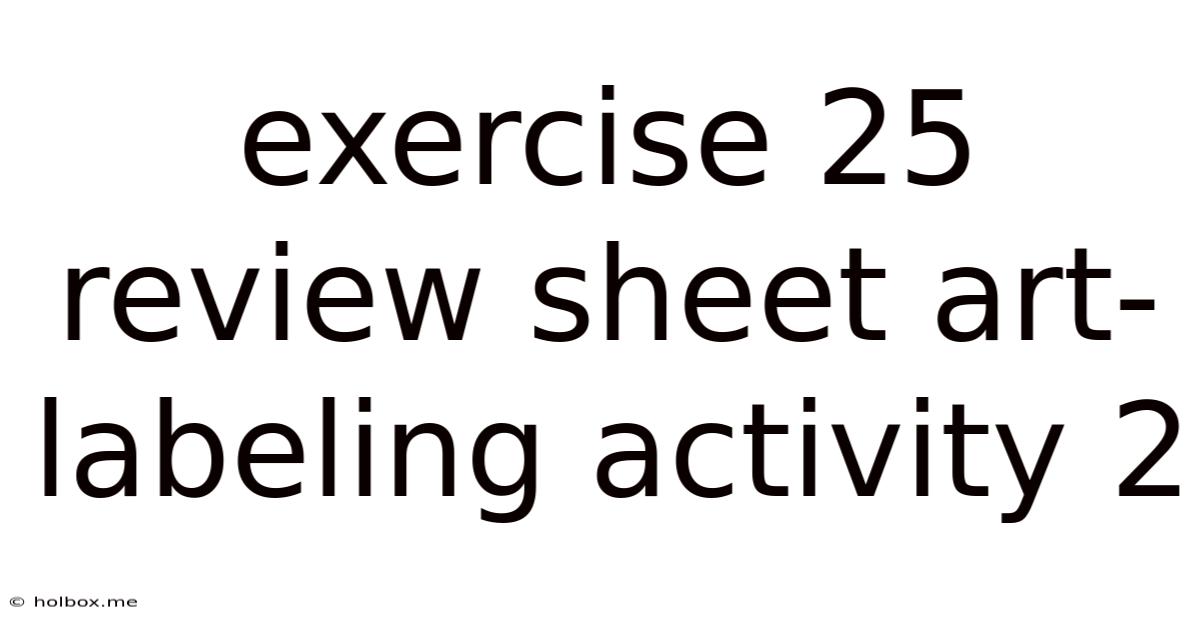 Exercise 25 Review Sheet Art-labeling Activity 2