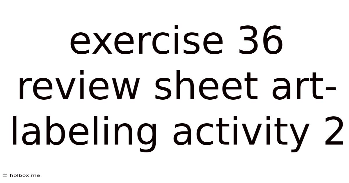 Exercise 36 Review Sheet Art-labeling Activity 2