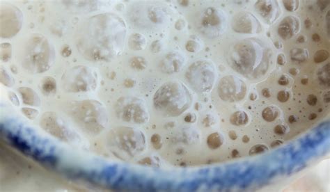 Fermentation In Yeast Can Occur Without