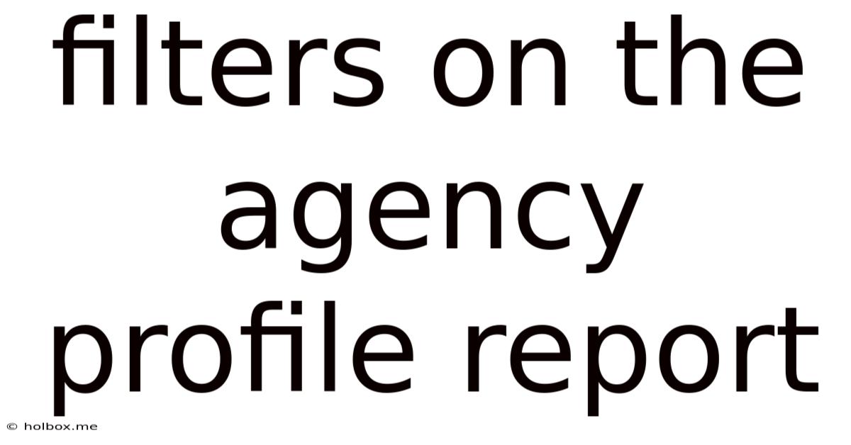 Filters On The Agency Profile Report