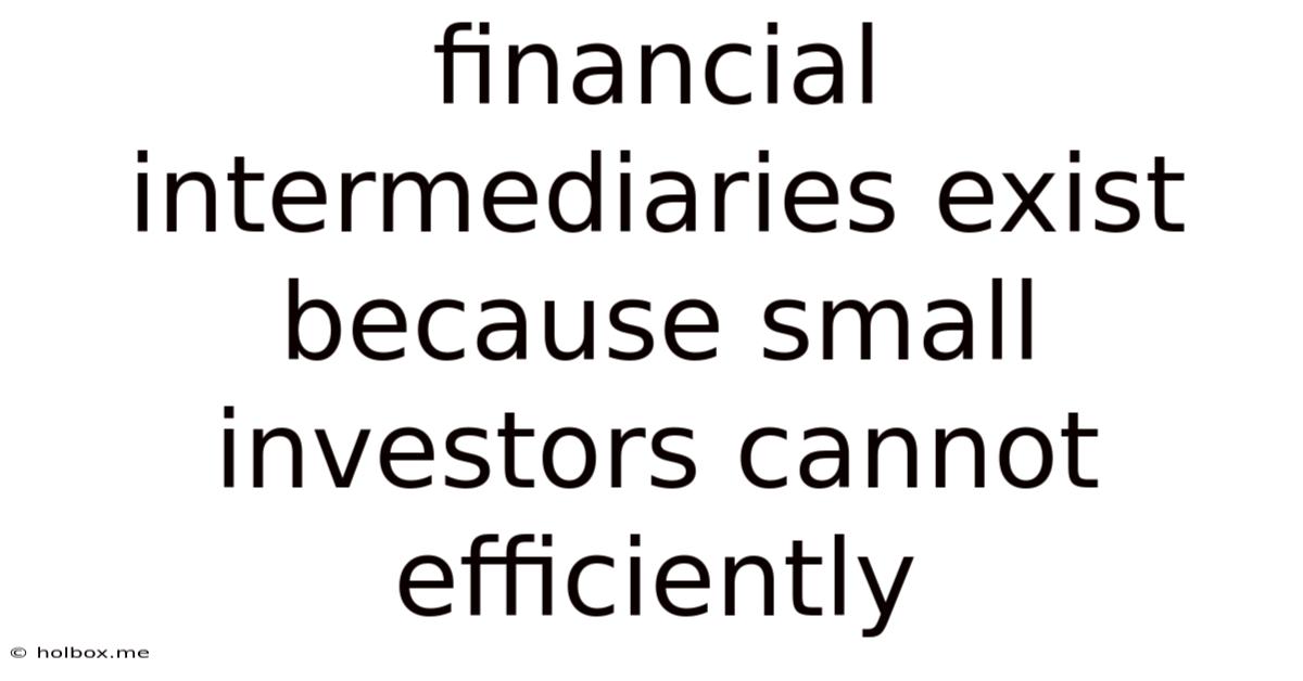 Financial Intermediaries Exist Because Small Investors Cannot Efficiently