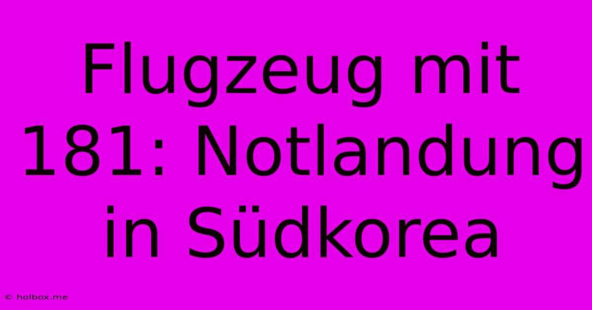 Flugzeug Mit 181: Notlandung In Südkorea