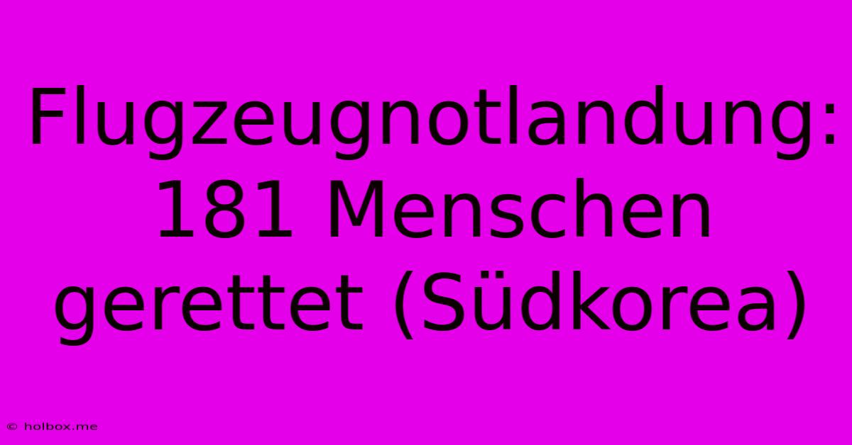 Flugzeugnotlandung: 181 Menschen Gerettet (Südkorea)