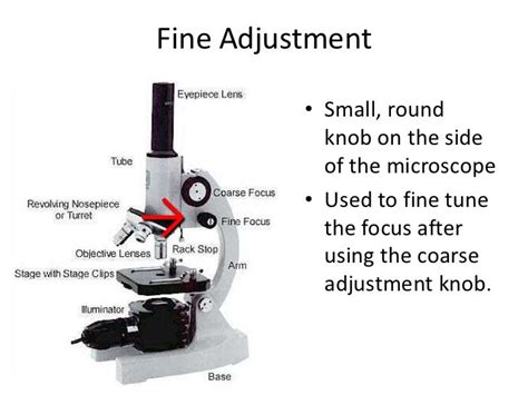 Function Of Fine Adjustment Knob In Microscope