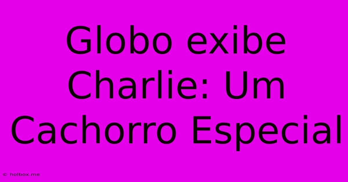 Globo Exibe Charlie: Um Cachorro Especial