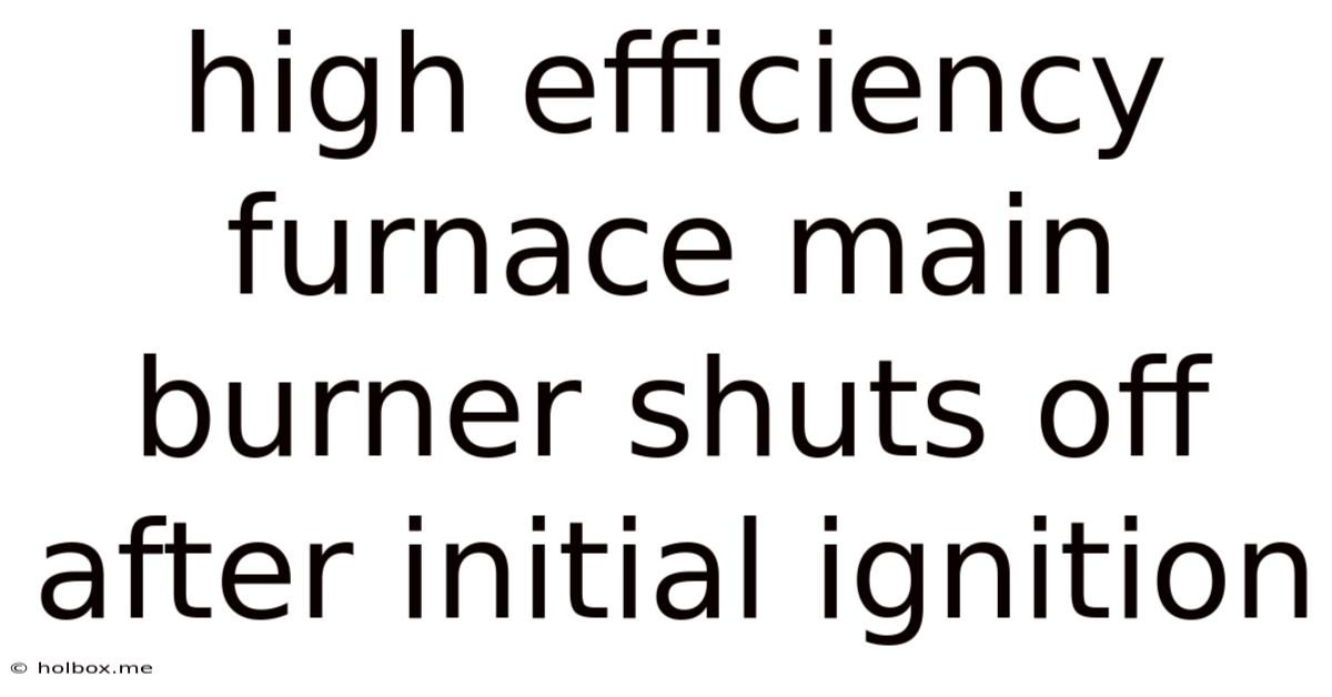High Efficiency Furnace Main Burner Shuts Off After Initial Ignition