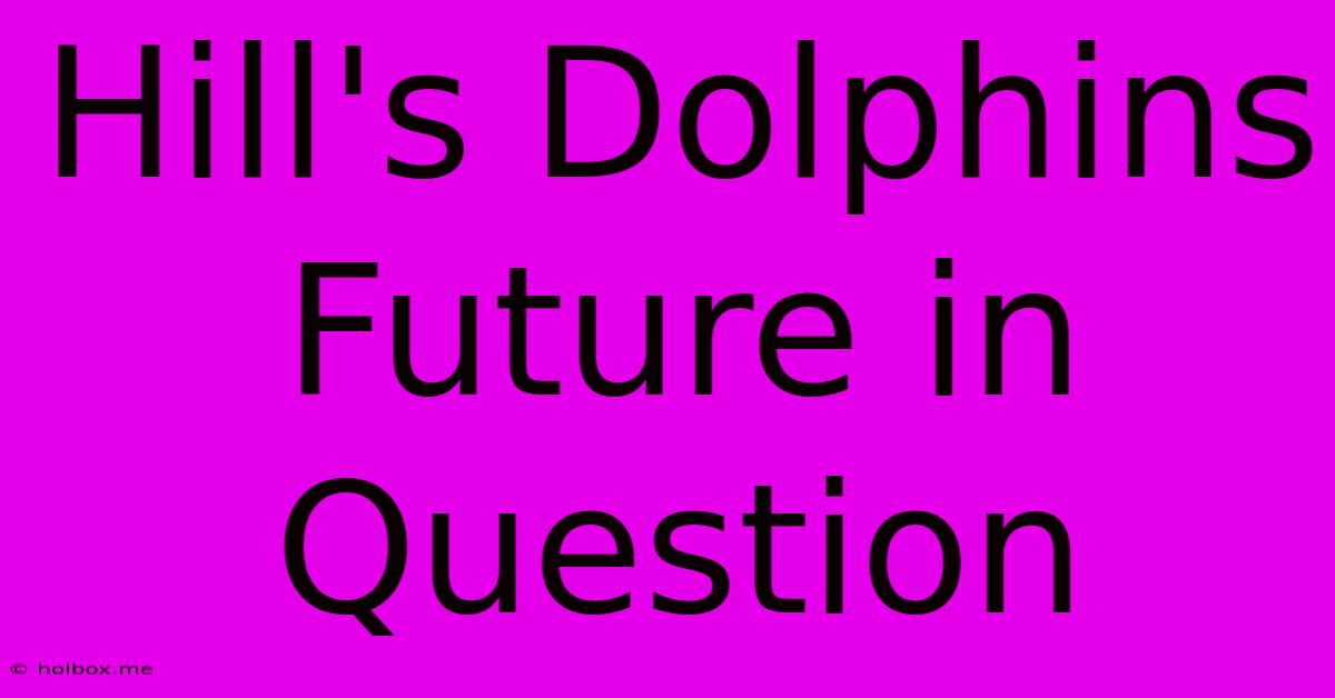 Hill's Dolphins Future In Question