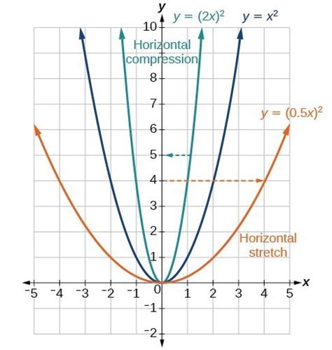 Horizontally Compressed By A Factor Of 1/2