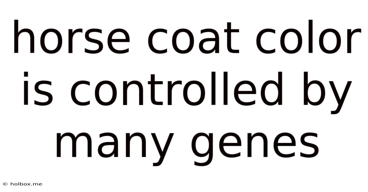 Horse Coat Color Is Controlled By Many Genes