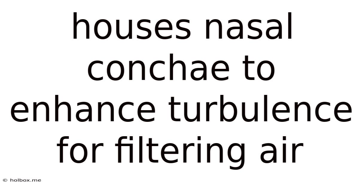 Houses Nasal Conchae To Enhance Turbulence For Filtering Air