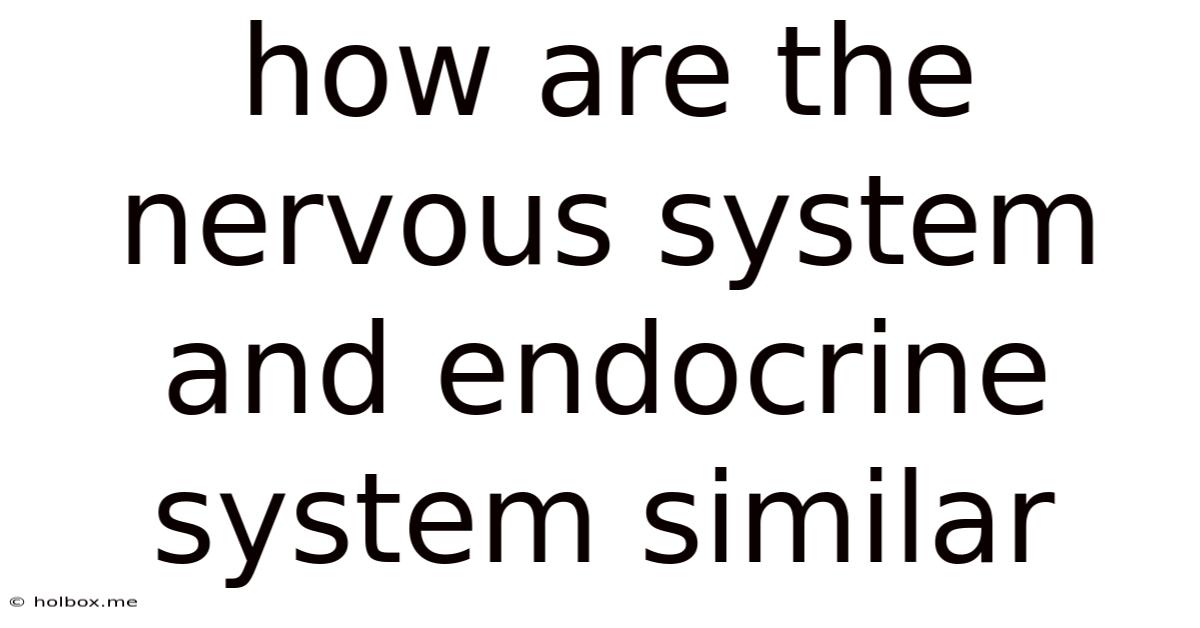How Are The Nervous System And Endocrine System Similar