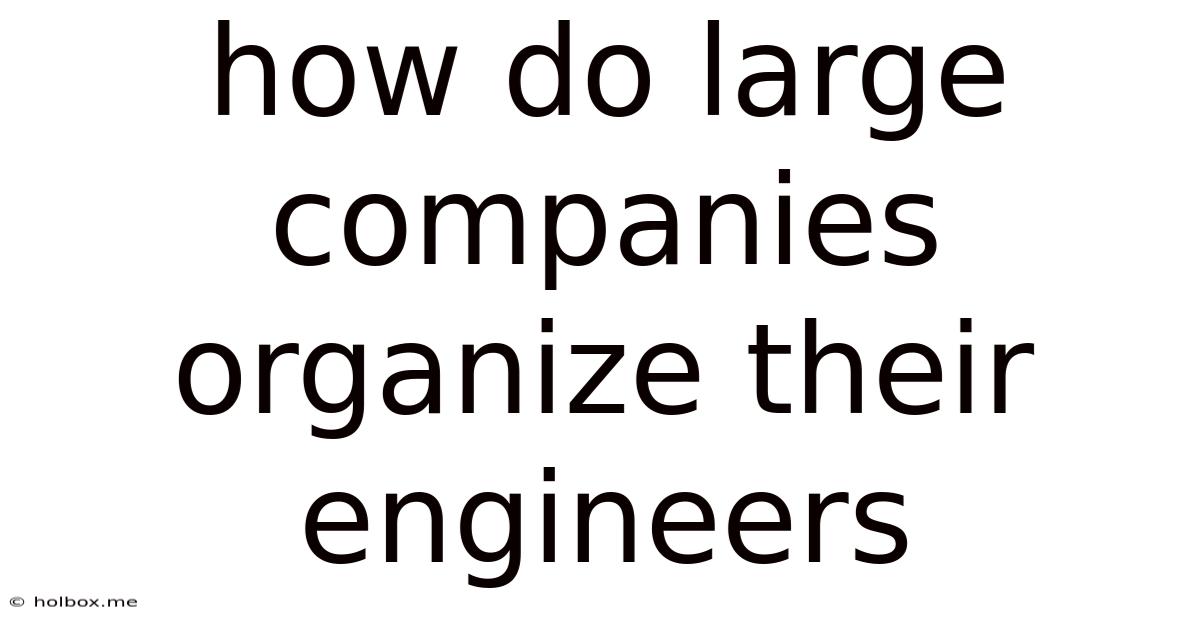 How Do Large Companies Organize Their Engineers