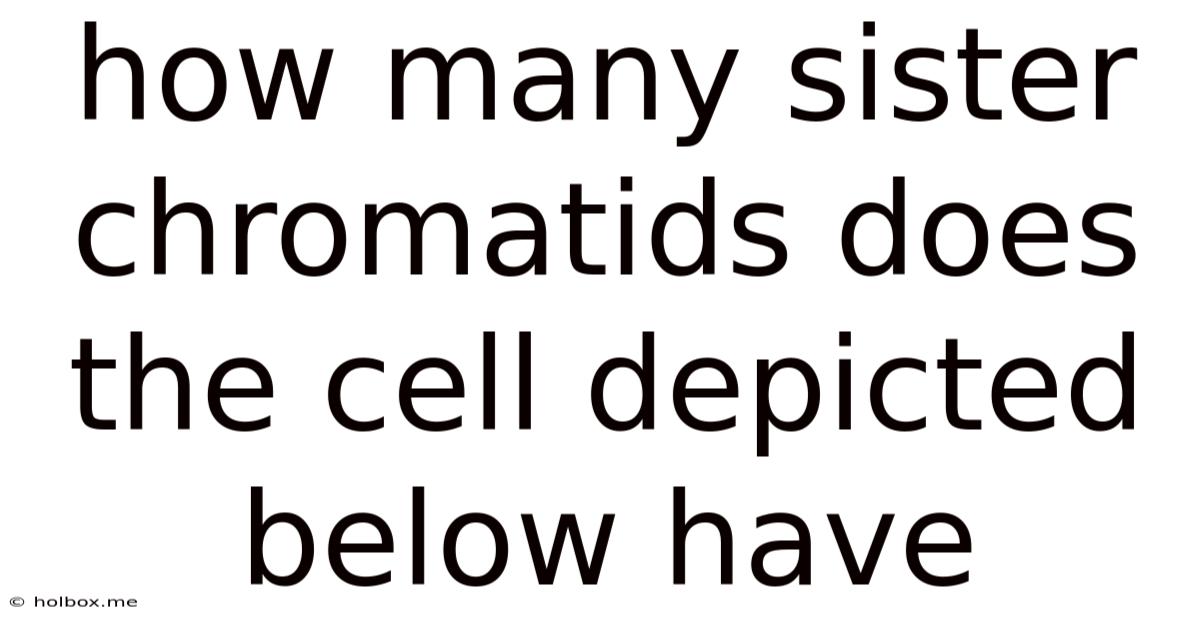 How Many Sister Chromatids Does The Cell Depicted Below Have