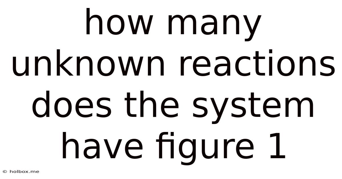 How Many Unknown Reactions Does The System Have Figure 1