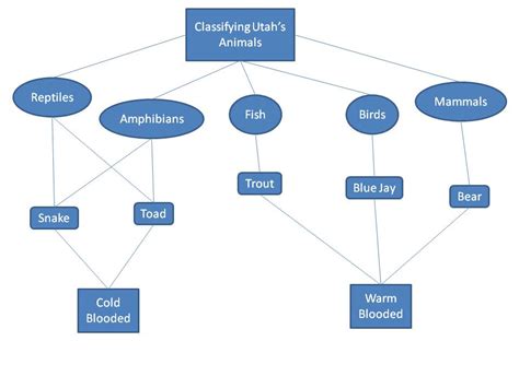 How Might You Add Keystone Species To The Concept Map