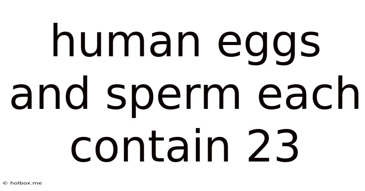 Human Eggs And Sperm Each Contain 23