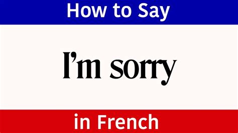 I Am Sorry In French Language