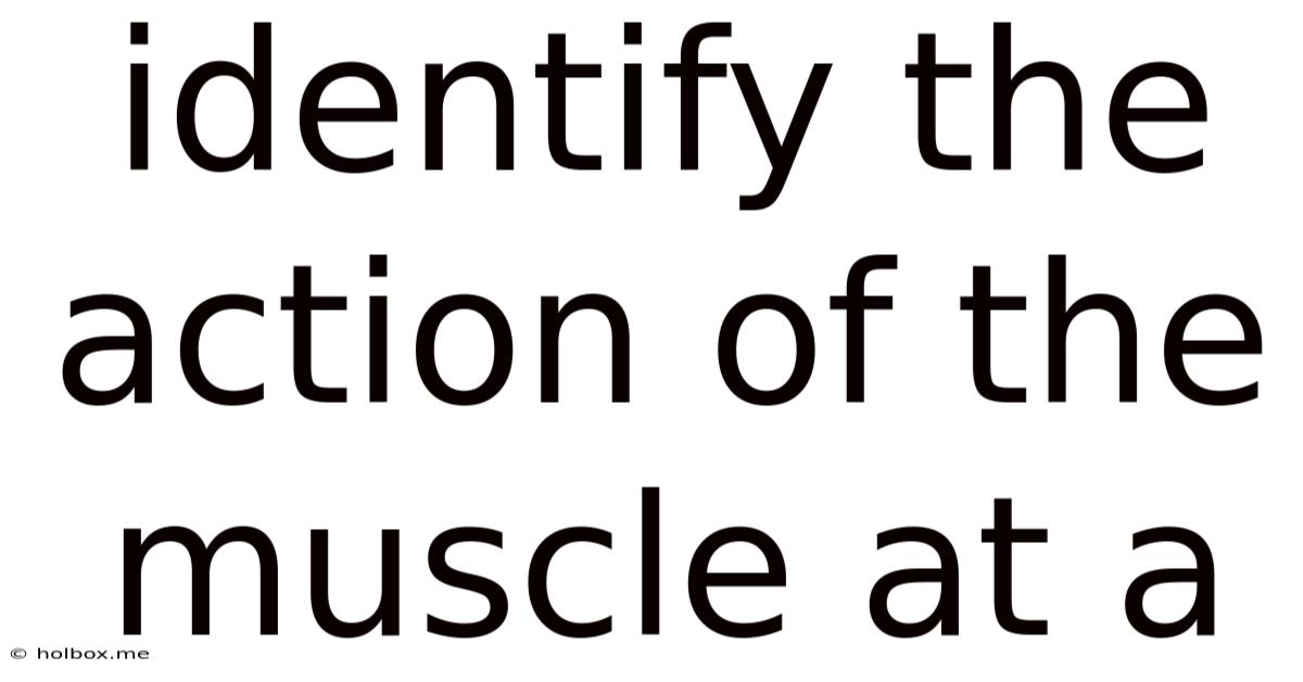 Identify The Action Of The Muscle At A