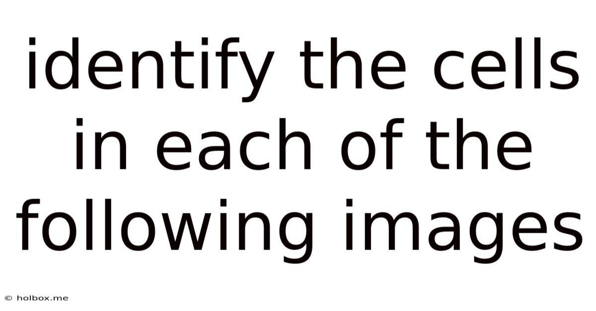 Identify The Cells In Each Of The Following Images