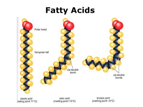 Identify The Components Contained In Each Of The Following Lipids.