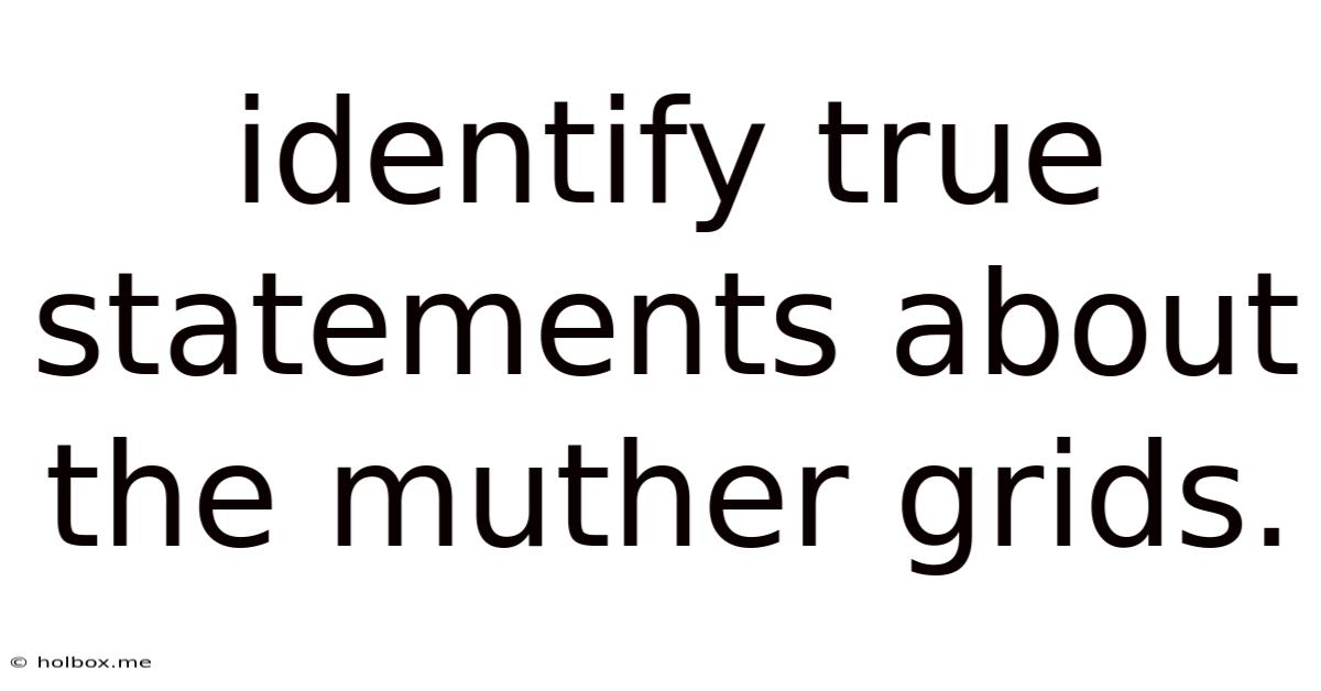 Identify True Statements About The Muther Grids.