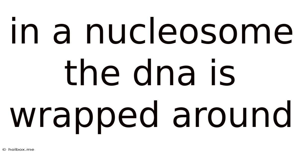 In A Nucleosome The Dna Is Wrapped Around