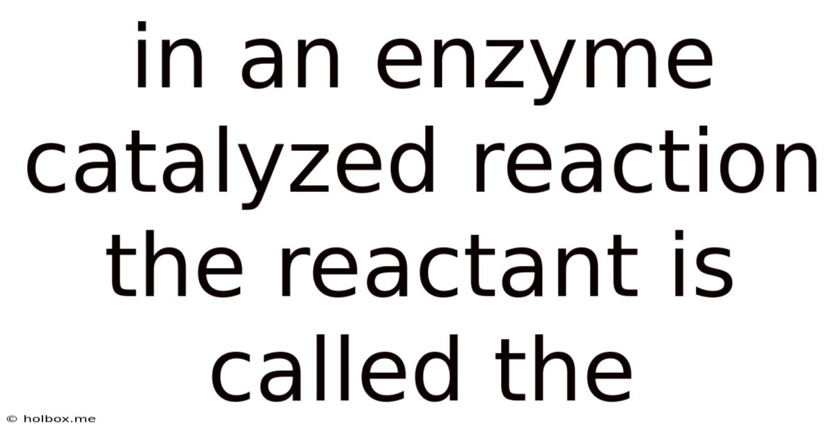 In An Enzyme Catalyzed Reaction The Reactant Is Called The