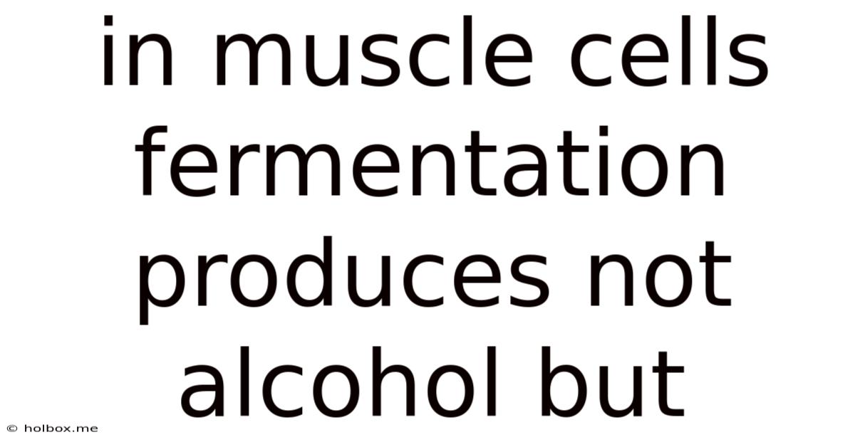 In Muscle Cells Fermentation Produces Not Alcohol But